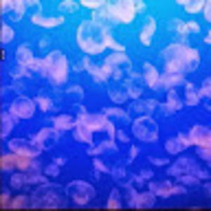 Meet your Posher, Hope